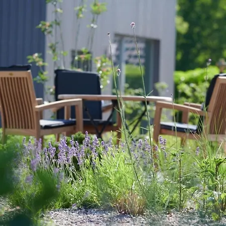 Elsas Enkel - Meta *